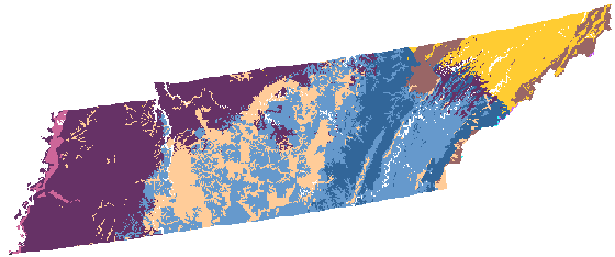 Tennessee clustered into 9 custom ecoregions