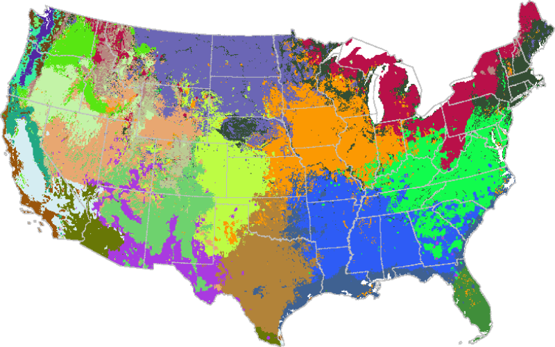 Initial 25 Cluster Map