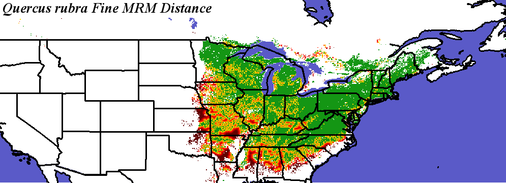 Quercus_rubra_final.noelev Fine MRM Distance