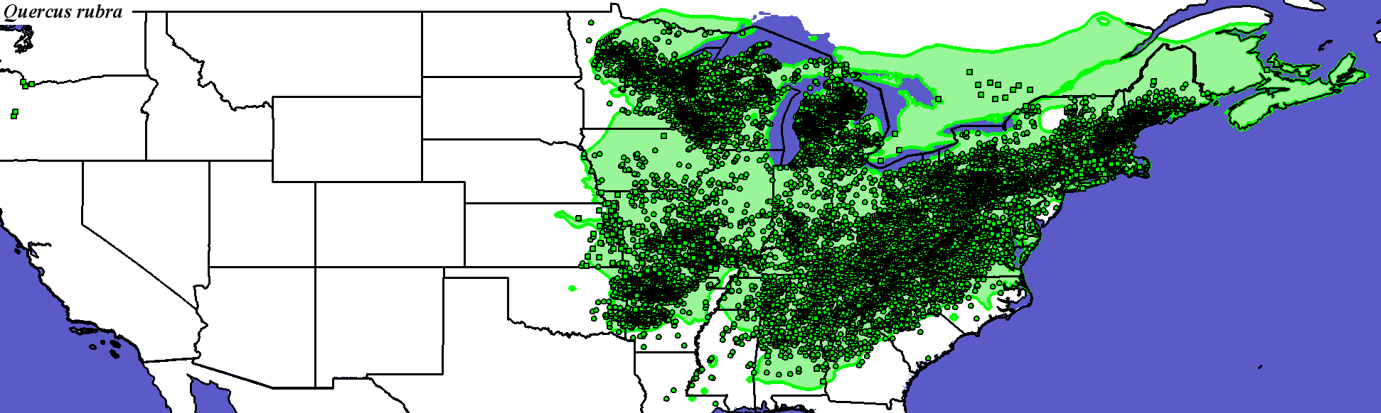 Quercus_rubra_final Occurrences