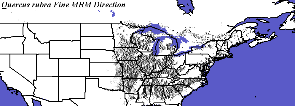 Quercus_rubra_final.noelev Fine MRM Direction
