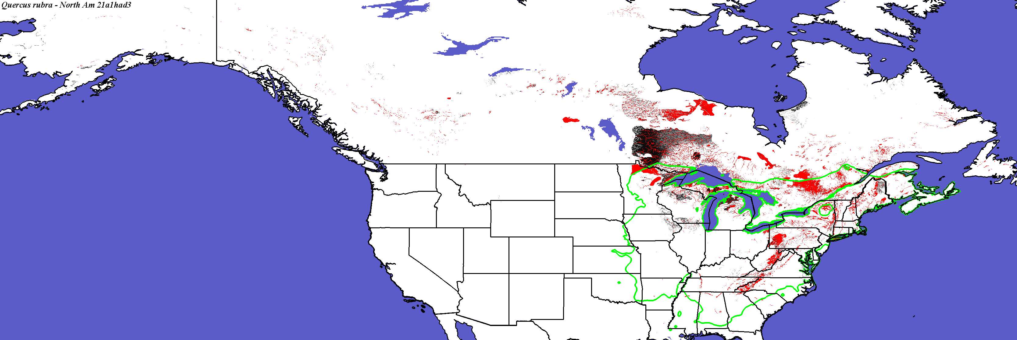 Quercus_rubra_final.4.conus