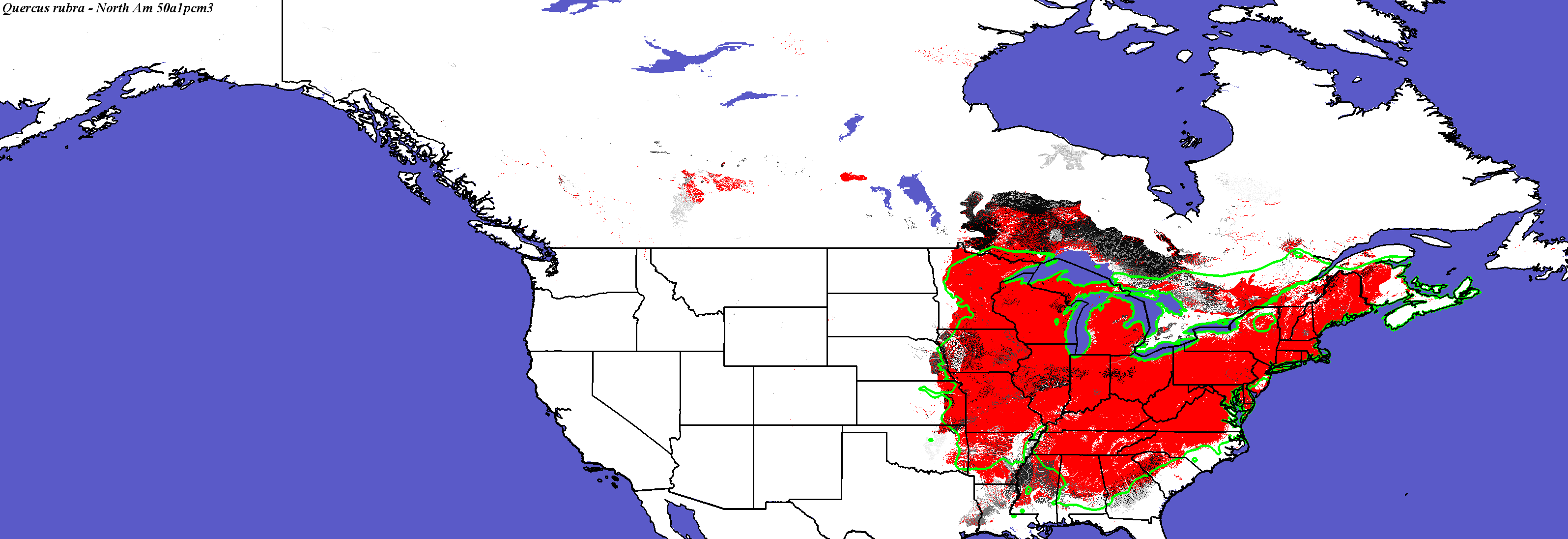 Quercus_rubra_final.4.conus