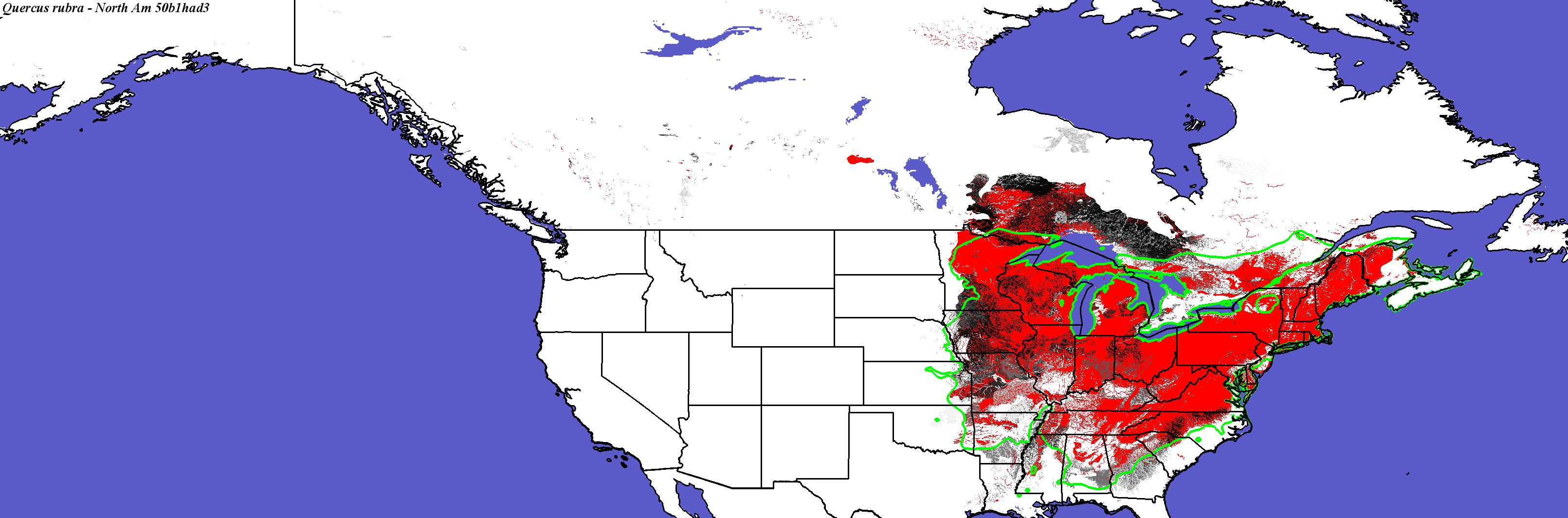 Quercus_rubra_final.4.conus