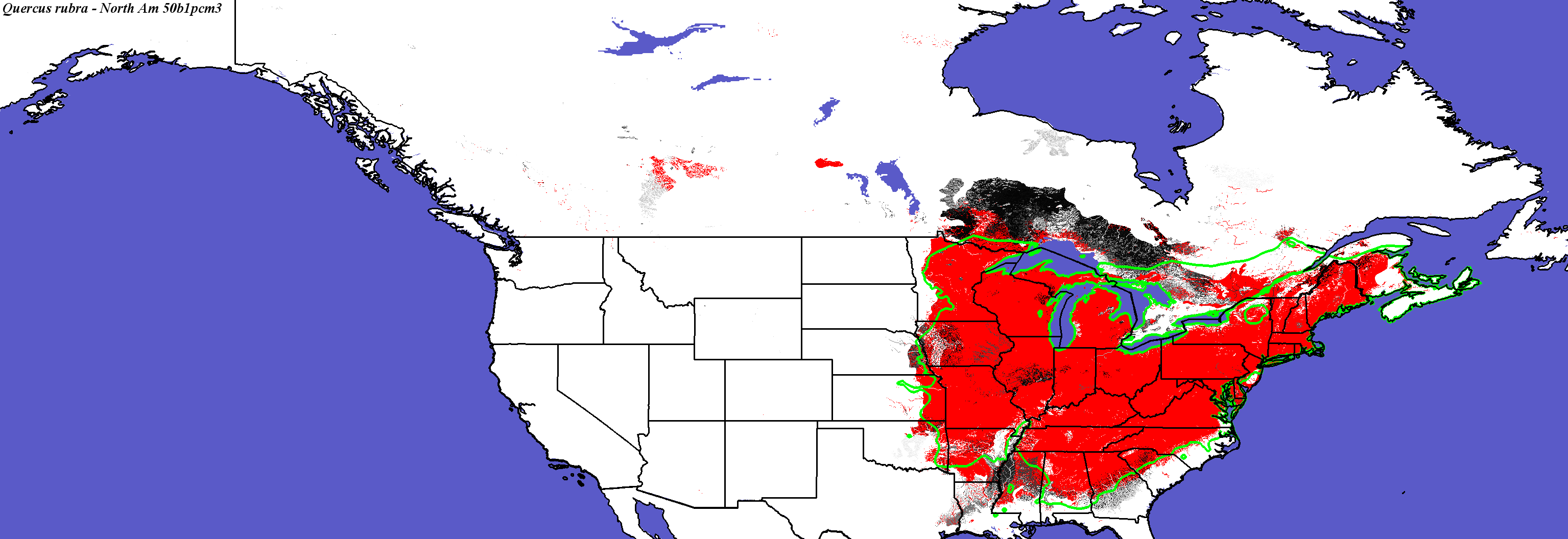 Quercus_rubra_final.4.conus