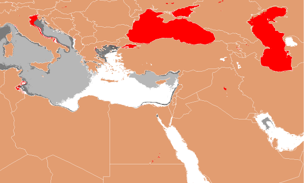 Aquatic Ecoregions found within the Ponto-Caspian seas, shown in Random Colors