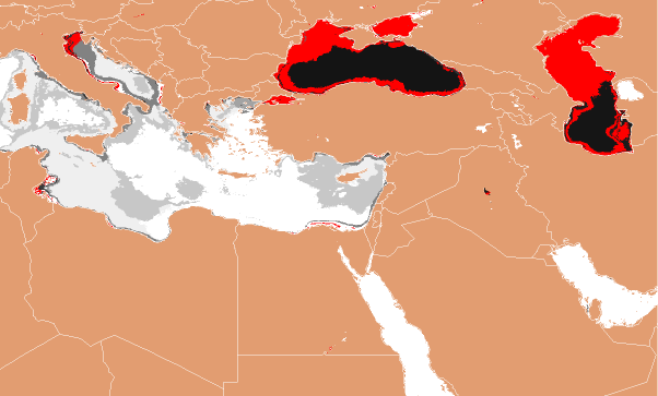 Aquatic Ecoregions found within the Ponto-Caspian seas, shown in Random Colors