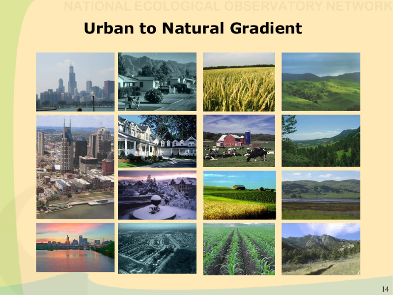 Urban to Natural Gradient