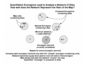 Coverage Method for Analysis of Sites in a Network