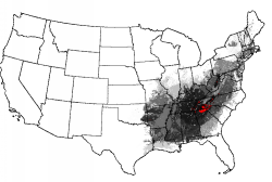 Smokies-ness of the Conterminous United States